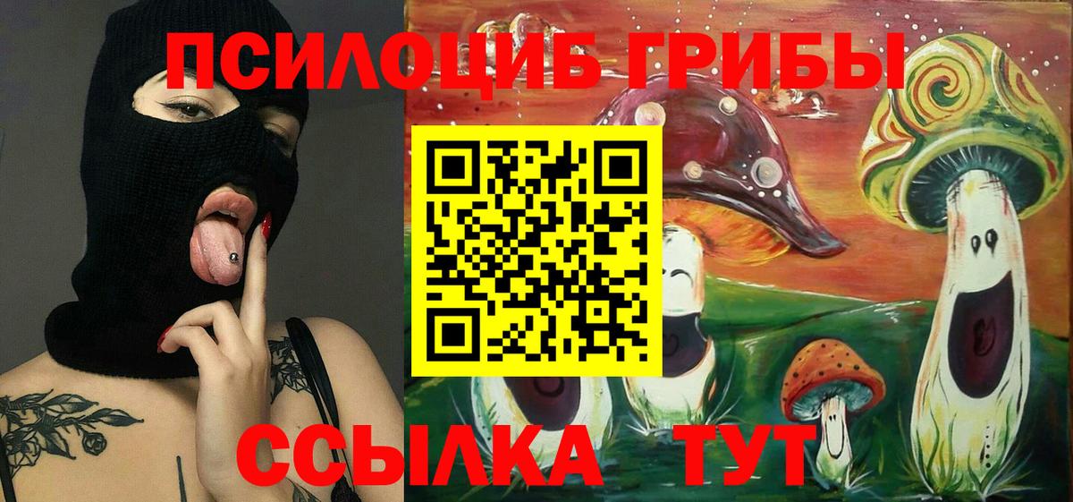 Галлюциногенные грибы MAGIC MUSHROOMS Ухта