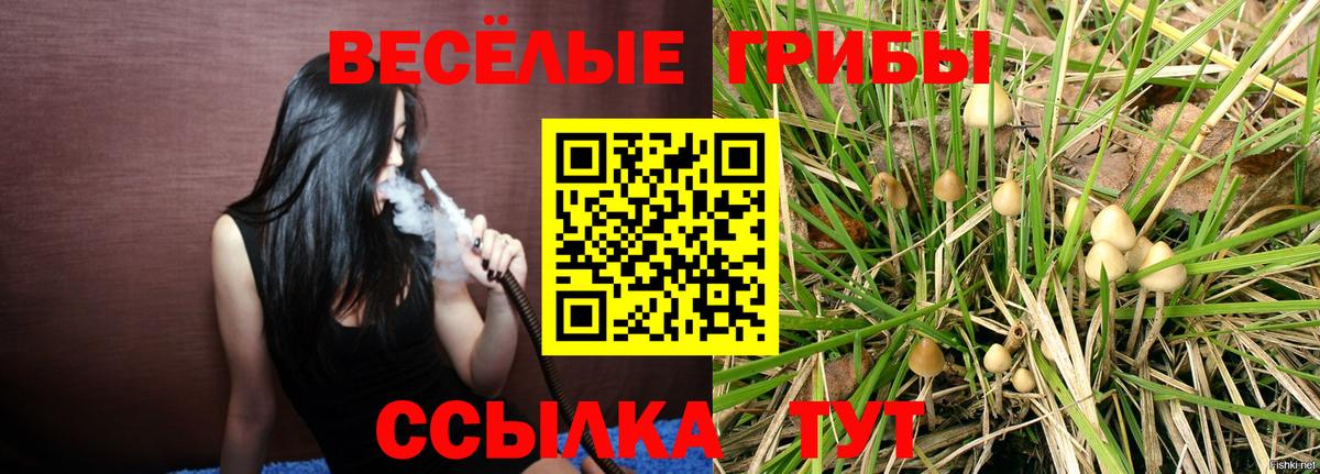Ухта  купить наркотик  Вход с VPN  Псилоцибиновые грибы GOLDEN TEACHER 